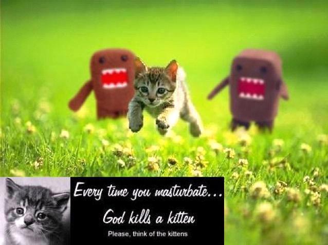 Think of the kittens...